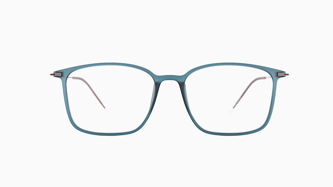 Switch it eyeglasses shop frames