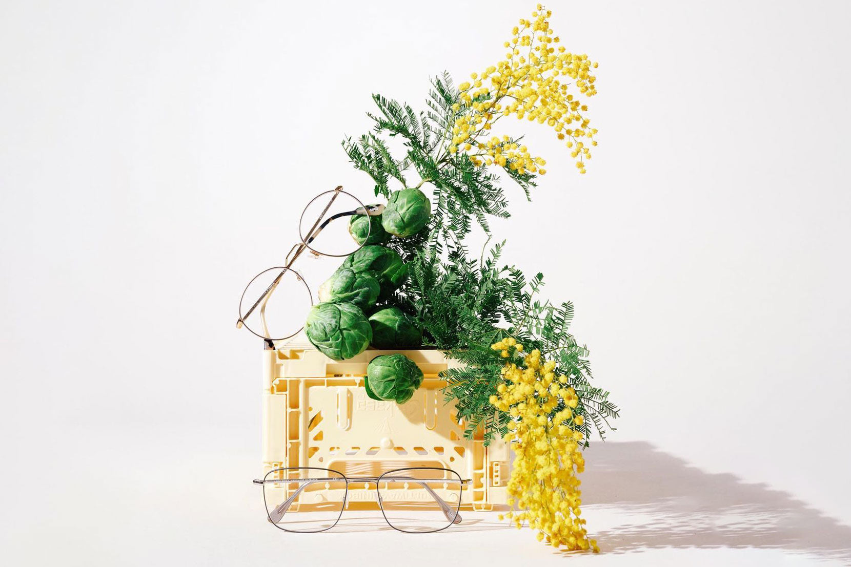 What Can I Eat To Keep My Eyes Healthy?