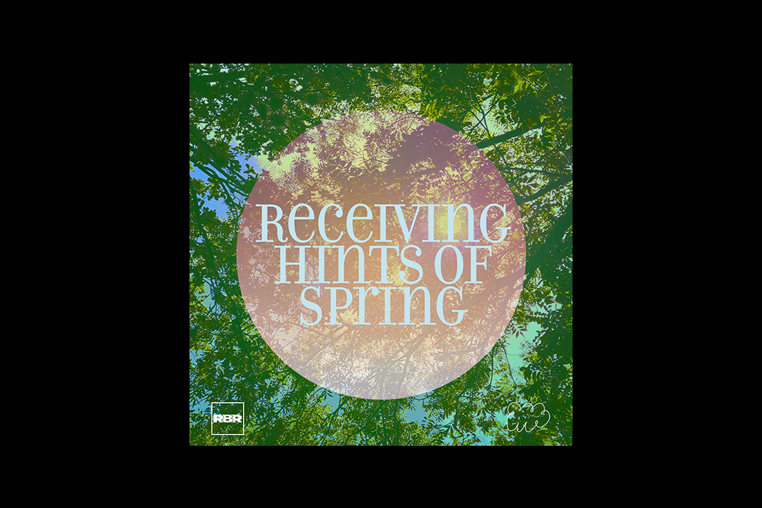 POV | Receiving Hints of Spring