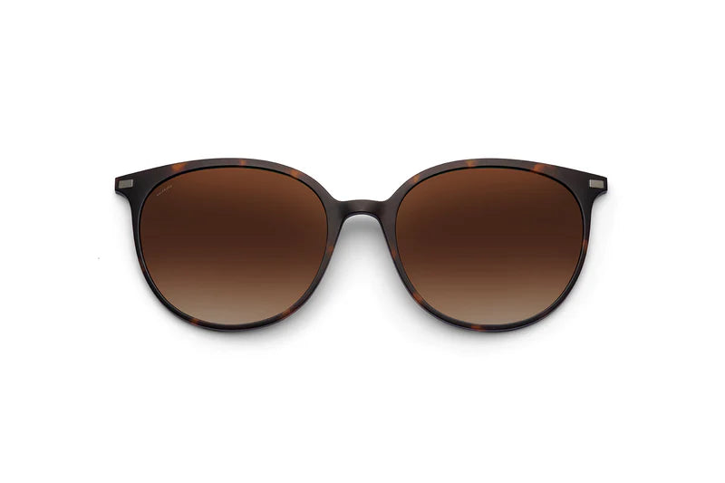 Oversized round sunglasses with a dark brown tortoiseshell frame and matching gradient brown lenses, shown against a plain white background.