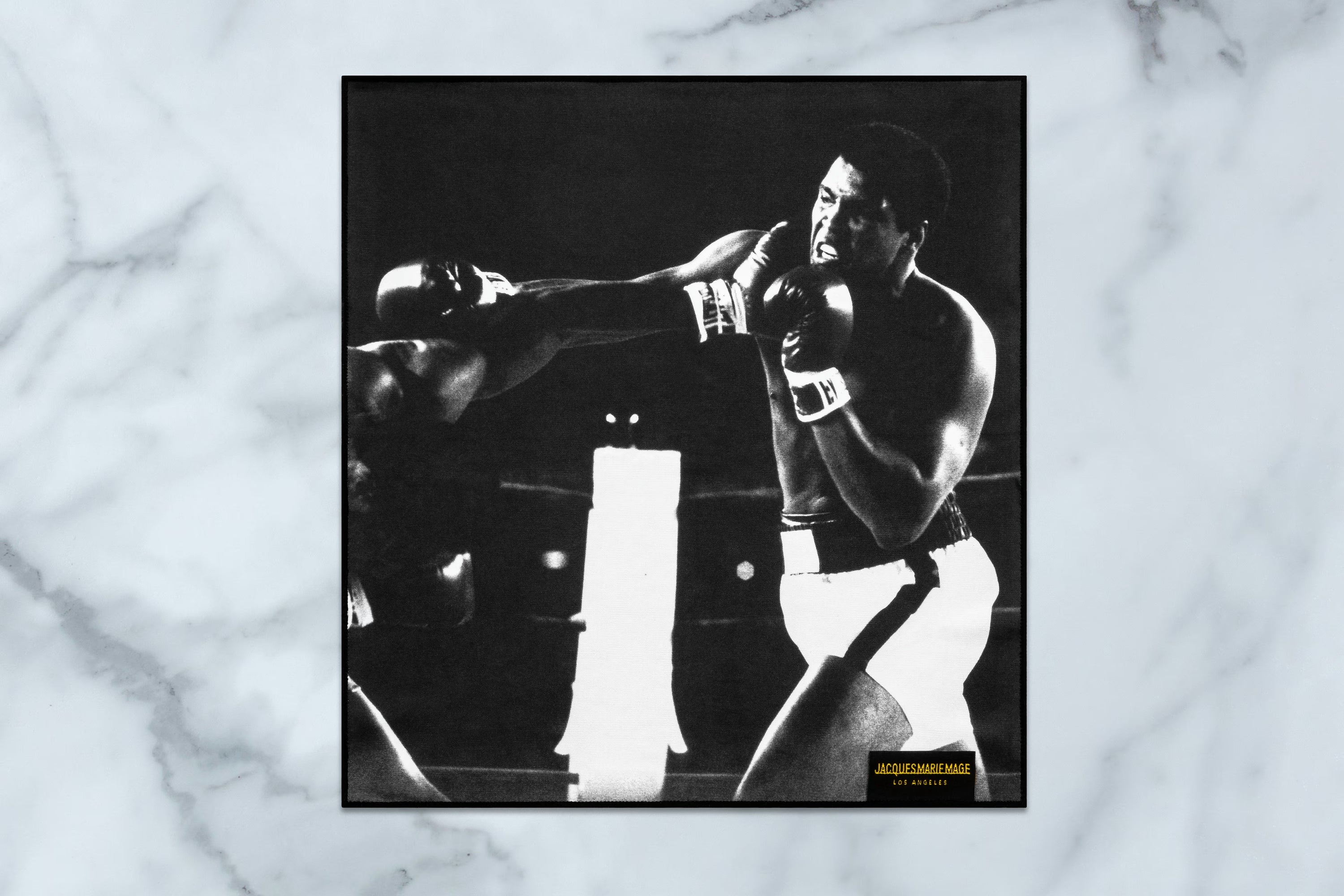 Black and white photograph of a boxer in action on a marble surface