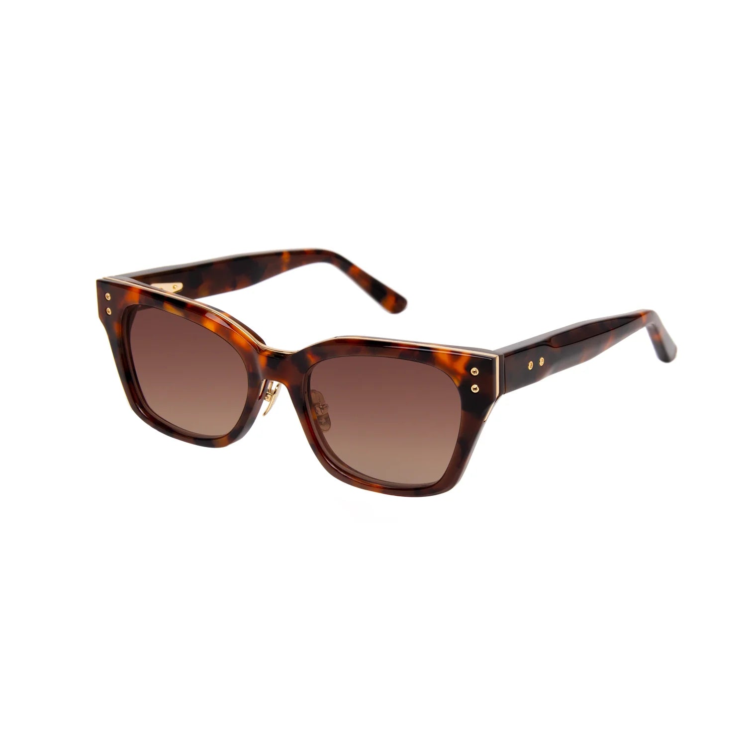 The Leisure Society Salina sunglasses by Leisure Society feature a brown tortoiseshell square frame crafted from luxurious Japanese acetate, with dark gradient polarized Trivex sun lenses and gold rivet accents on the front corners and temples, displayed on a white background.