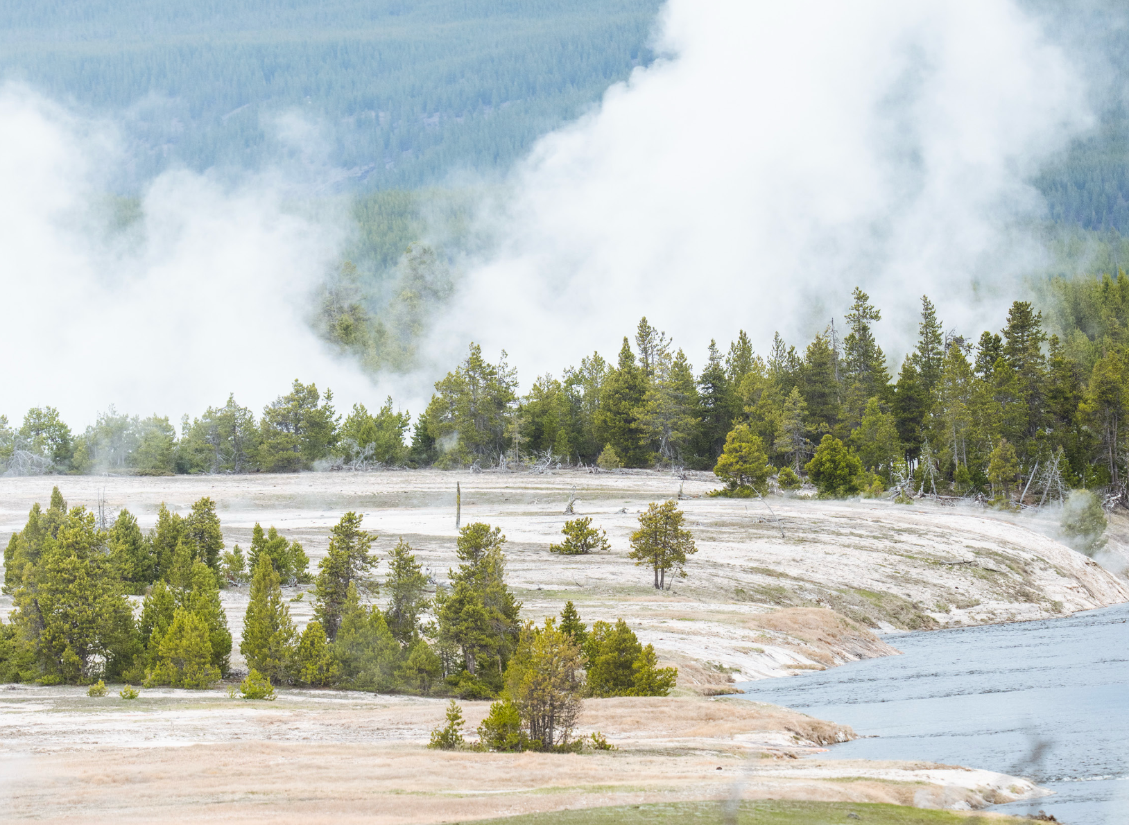 JMM | Yellowstone VI – FRAMED EWE Optical