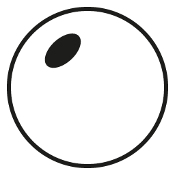 A simple black-and-white drawing of a large circle with a thick outline and a small solid oval near the top left, resembling a cartoon eye—ideal for showcasing the high-quality optical performance of LensAdvizor’s Not-So-Basic (Standard Digital Lenses).